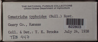 Image Associated With the Occurence